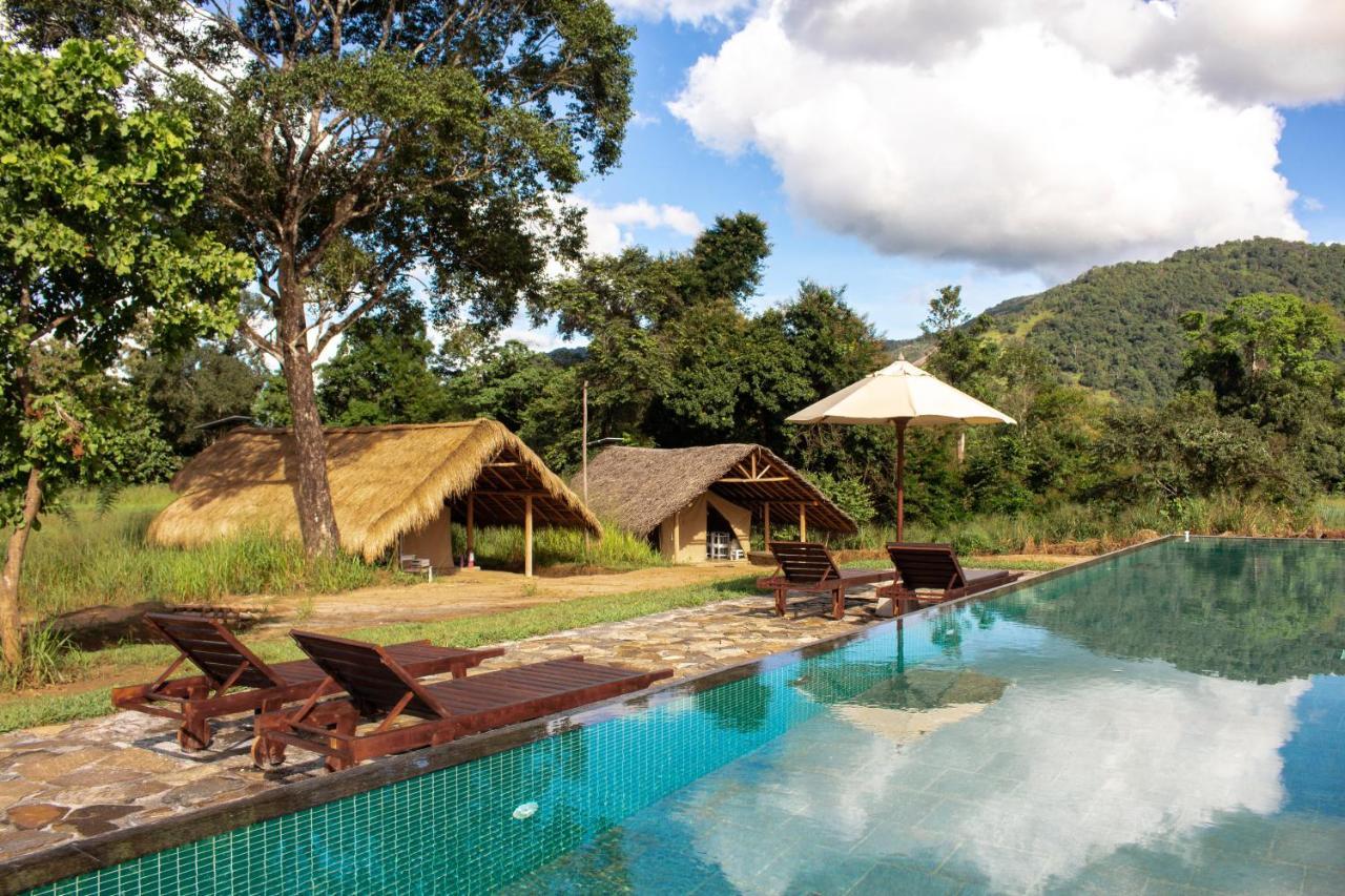 Hotel Wild Glamping Gal Oya - Thema Collection Galgamuwa  Exterior foto